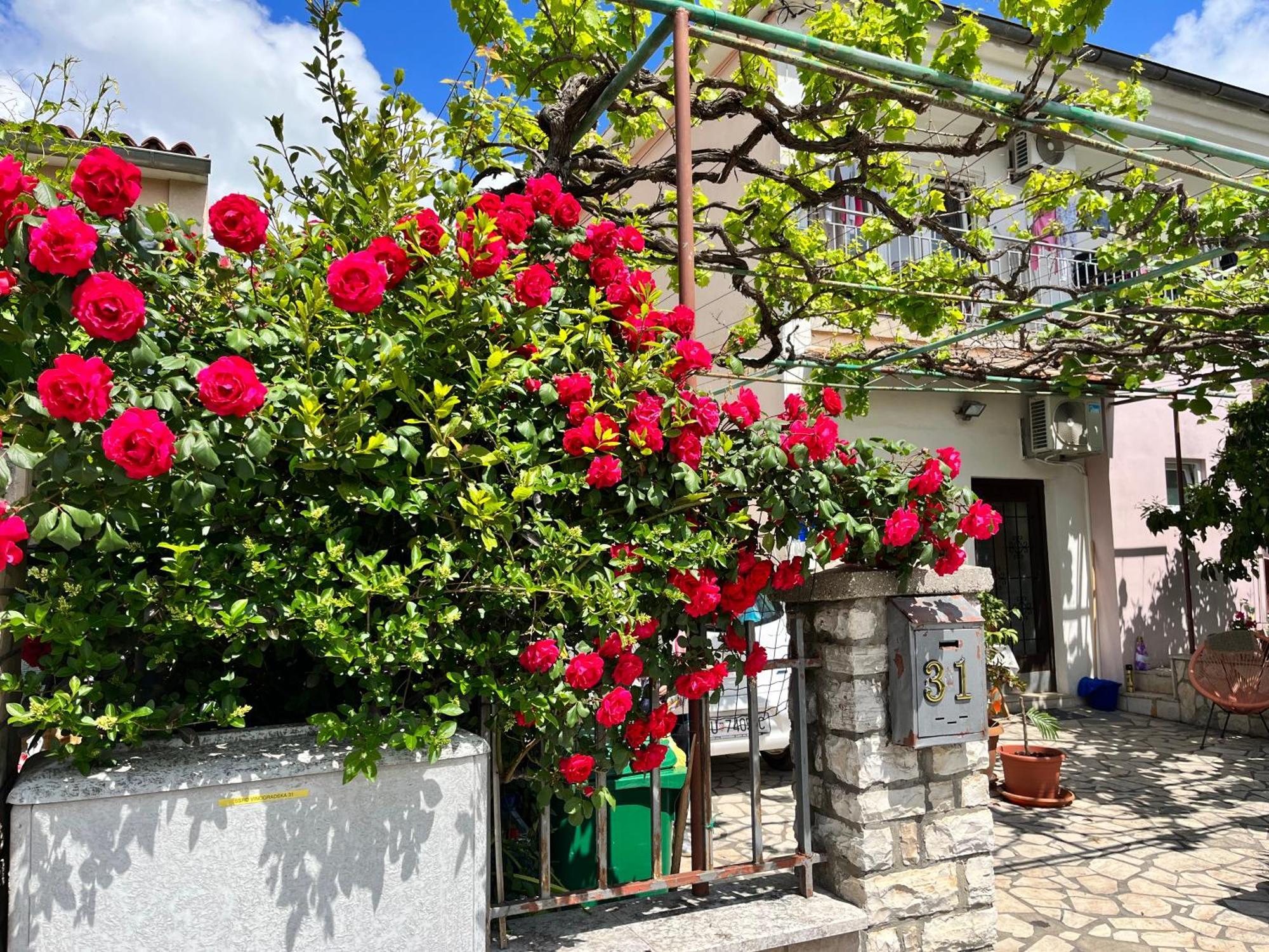 Veronika'S House PUY 외부 사진